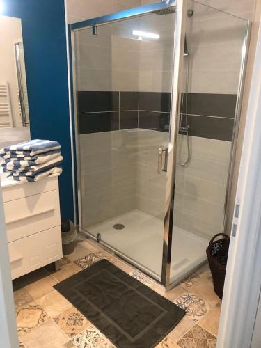 une douche avec une porte vitrée dans une salle de bain dans l'établissement Chalet charmant à Clermont-Créans avec piscine partagée, à La Flèche