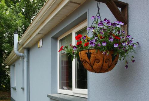 Zahrada ubytování Leitrim Quay - Riverside Cottage 7