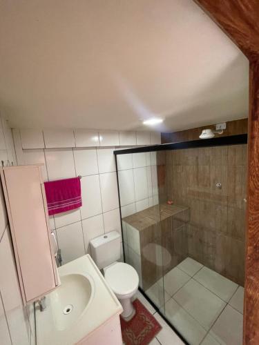 La salle de bains est pourvue de toilettes, d'une douche et d'un lavabo. dans l'établissement Kitnet agradável Alto Caparaó MG, à Caparaó Velho