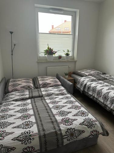 2 Betten in einem Zimmer mit Fenster in der Unterkunft APARTAMENT Z TARASEM STELLA in Sanok