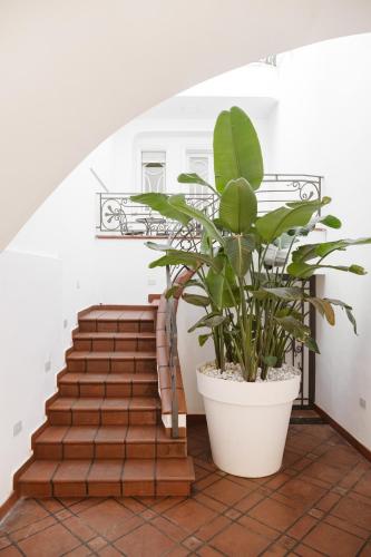 a plant in a white pot next to stairs at ALBERGO DIFFUSO Dimora Rossi Charme B&B in Turi