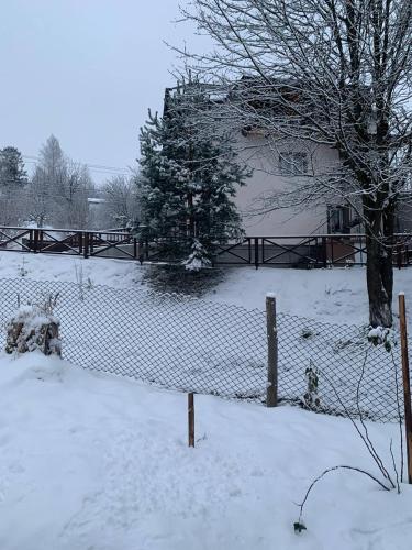 a fence covered in snow in front of a house at Ехо Тростяну in Slavske