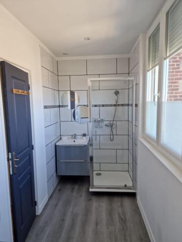 une salle de bain avec un lavabo et une douche en verre dans l'établissement maisonnette, à Dieppe
