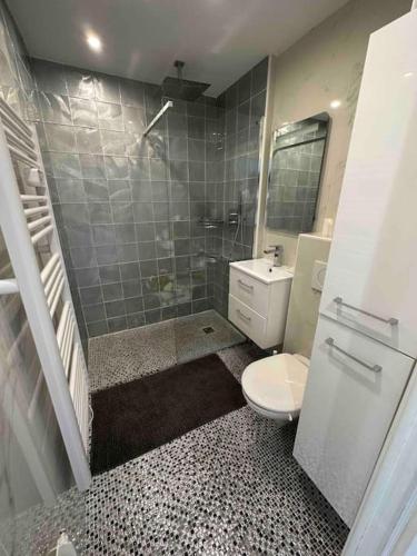 une salle de bain avec une douche, des toilettes et un lavabo dans l'établissement Appartement « SUITE » Croisette, à Cannes