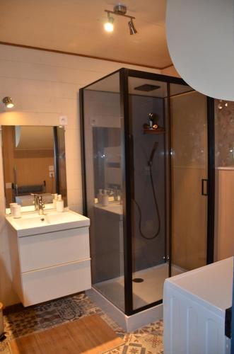 uma casa de banho com um chuveiro e um lavatório. em Gite "La belle échappée" à 5 minutes du lac em Clairvaux-les-Lacs