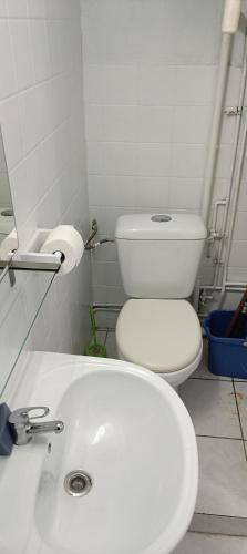 une salle de bain blanche avec des toilettes et un lavabo dans l'établissement Studio indépendant de plain-pied très calme agréé Chèques Vacances, à Drancy