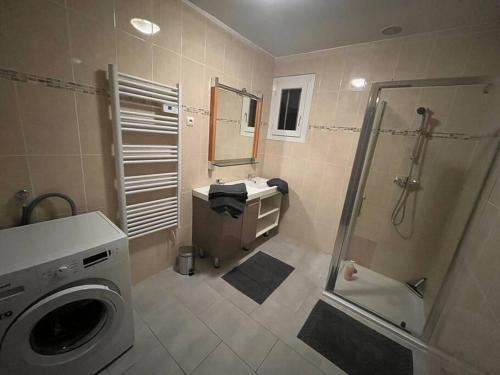 y baño con ducha, lavabo y lavadora. en Maison dans Résidence pavillonnaire paisible, en Cannes-Écluse
