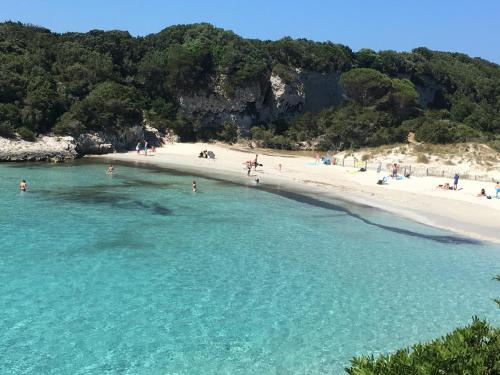 une plage avec un groupe de personnes dans l'eau dans l'établissement apparemment propriano, à Propriano