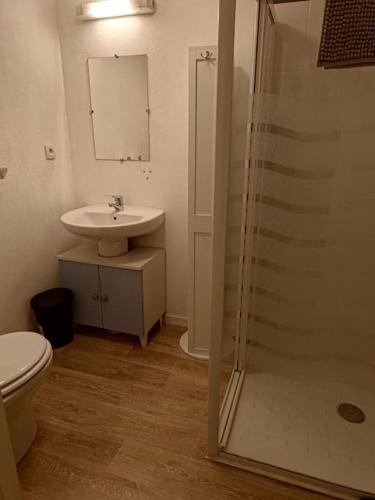 a bathroom with a shower and a toilet and a sink at Studio avec grande terrasse gare Sud in Nantes