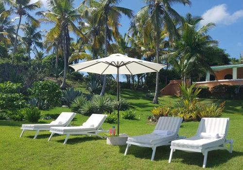 three lounge chairs and an umbrella in the grass at Los Gorgones Azur Room in Las Galeras
