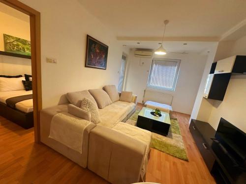Μια τηλεόραση ή/και κέντρο ψυχαγωγίας στο Apartman Azra