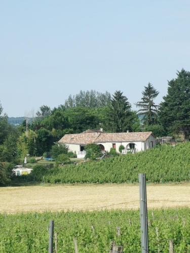 Aux vignes d’Arnaud