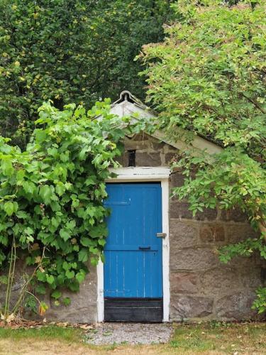 a blue door in a stone building with vines at Trevliga stugor i Torhamn, perfekt för familjer in Karlskrona