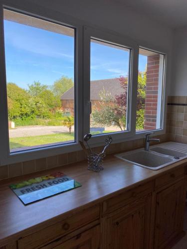 - un comptoir de cuisine avec évier et 2 fenêtres dans l'établissement Gîte Gold au Domaine de Saint Vigor, à Saint-Pellerin
