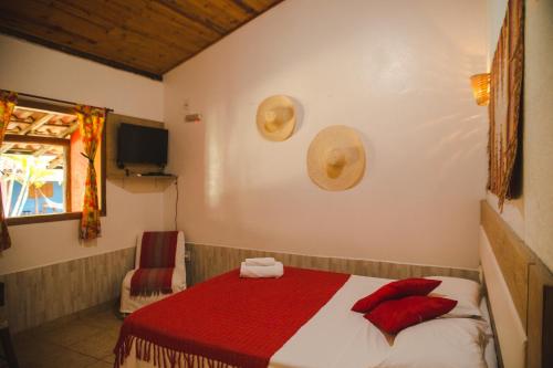 a bedroom with a bed with red pillows and a tv at Pousada Cipó Prata in Serra do Cipo