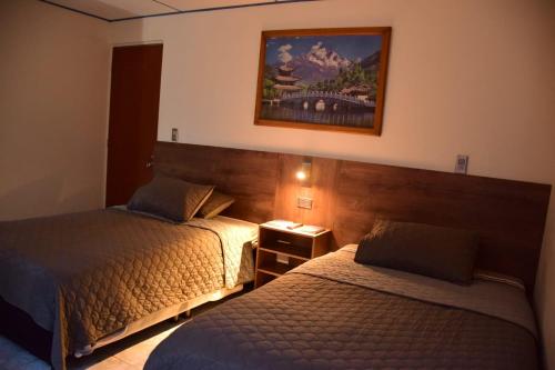 een hotelkamer met twee bedden en een foto aan de muur bij Hotel La Herradura 