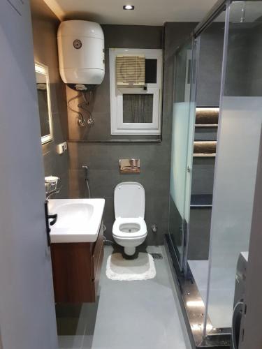 La salle de bains est pourvue de toilettes, d'un lavabo et d'une douche. dans l'établissement الجيزه شارع كليه الزراعه عماره ١٢, au Caire