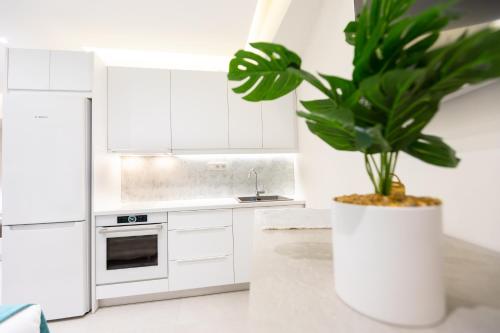The Window Frame Studio - Easy Access to the Acropolis & Athens City Center