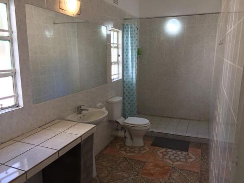 ein Bad mit einem WC, einem Waschbecken und einer Dusche in der Unterkunft Jacobsen Bungalow in Maun, Boronyane in Maun