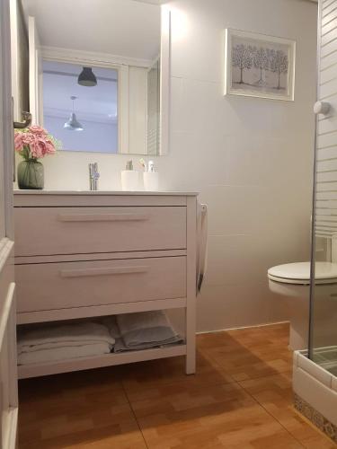 a bathroom with a sink and a mirror at Apartamento Barrionuevo in Córdoba