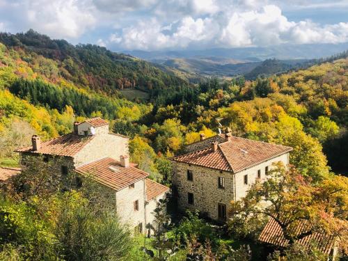 an aerial view of two buildings in a forest at Bio Agriturismo Il Vigno in Caprese Michelangelo