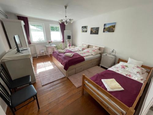 a bedroom with two beds and a television in it at Hídláb Apartman in Kimle