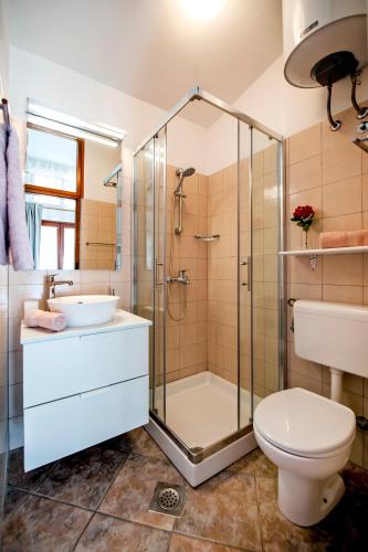 a bathroom with a shower and a toilet and a sink at Charming House Nino with a fenced yard in Krmed