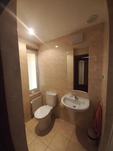 a bathroom with a toilet and a sink at Willa Pod Aniołem in Inowrocław