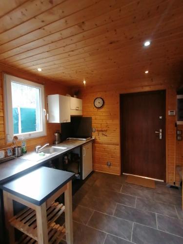 a kitchen with a sink and a counter top at Fala - Domki do wynajecia in Zagórze Śląskie