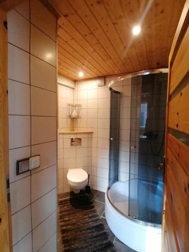 a bathroom with a tub and a toilet in it at Fala - Domki do wynajecia in Zagórze Śląskie