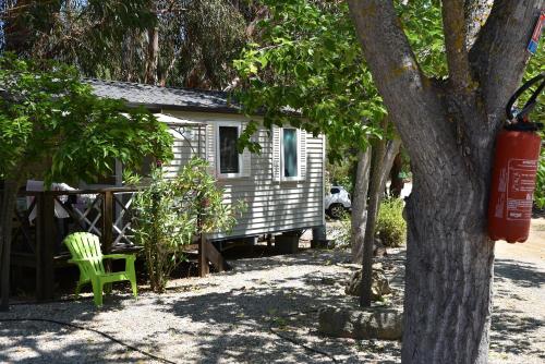 a white house with a tree and a green chair at Location du Ranch in Algajola