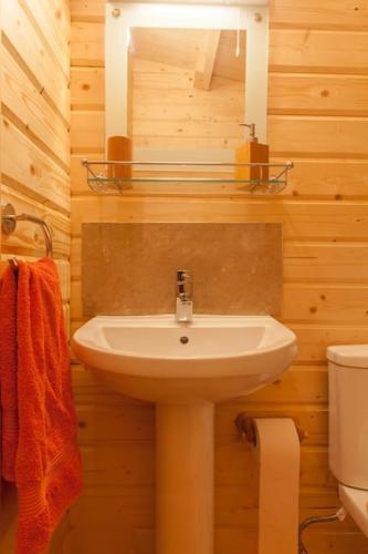 a bathroom with a sink and a toilet and a mirror at Family friendly sunny Log Cabin in Wimborne Minster