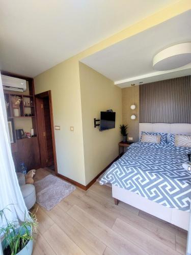 a bedroom with a bed and a television in it at Vila MP Banstol 4*- Brdež do, Fruška gora in Inđija