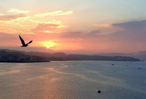 un pájaro volando sobre el agua al atardecer en Piso Vacaciones en el mar, en Sanxenxo