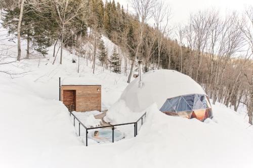 una tienda iglú en la nieve en un bosque en Dômes Charlevoix, en Petite-Rivière-Saint-François