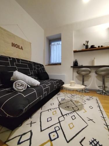 - un salon avec un canapé noir et un tapis dans l'établissement petit coin charmant de Toulouse, à Toulouse