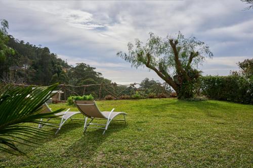 duas cadeiras sentadas num quintal com uma árvore em Casas Maravilha by Madeira Sun Travel em Calheta