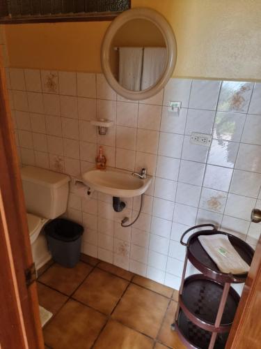 Koupelna v ubytování Hotel La Rana de Arenal