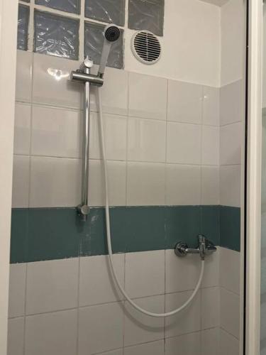 une douche avec un tuyau dans une salle de bain dans l'établissement Paris flat,Place d la République, à Paris