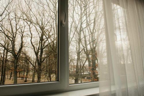 a window with a view of the trees outside at JAUKI STUDIJA KRETINGOS CENTRE in Kretinga