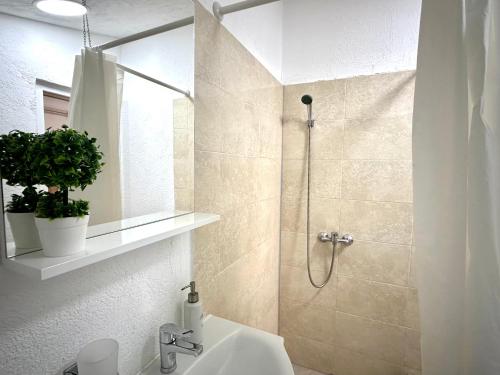 a bathroom with a shower with a sink and a shower at Apartments Pribilovic in Budva