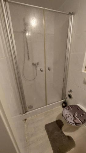 a shower with a glass door in a bathroom at ferienwohnung Radevormwald Mitte in Radevormwald