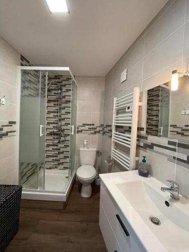 une salle de bain avec une douche, des toilettes et un lavabo dans l'établissement Appartement 2 chambres centre Tarascon-sur-Ariège, à Tarascon-sur-Ariège