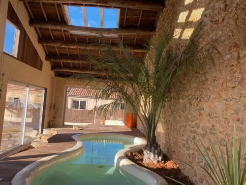 a swimming pool with a palm tree in a house at Domaine de Servières - Grand gîte in Le Caylar