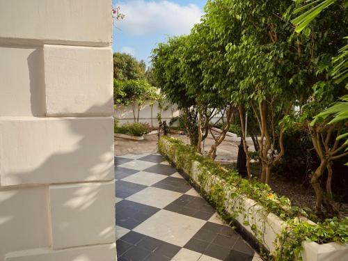 a stone wall with a checkered sidewalk next to trees at Hush Hush in Barranquilla