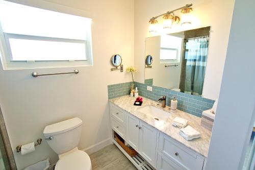 a bathroom with a toilet and a sink and a mirror at The Blue Iguana at Cottages in Sand Bluff