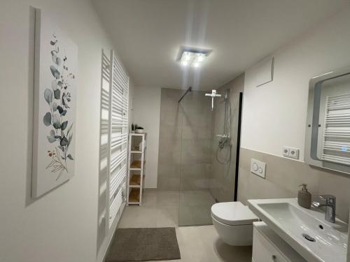 uma casa de banho com um WC, um lavatório e um chuveiro em Luxurious and stylish apartment at BER Airport em Schönefeld
