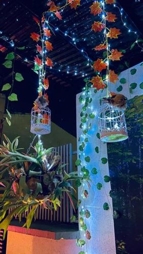a room with two bird cages and a plant at Apartamento Turismo en Ibagué ESMERALDA in Ibagué