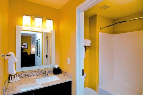 a bathroom with a sink and a mirror and a shower at TownePlace Suites by Marriott Anchorage Midtown in Anchorage