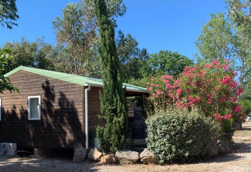 ein kleines Haus mit einem großen Baum in der Unterkunft Location du Ranch in Algajola